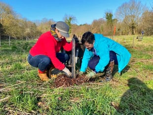 Council film depicts 3,000 tree planting project